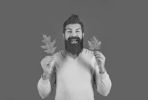 Bearded man are getting ready for autumn sale. Fall concept. Leaf fall. Autumn leaves. Autumn and leaf fall dreams
