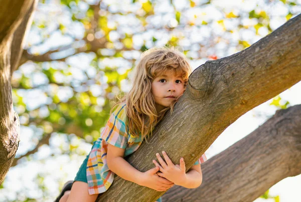 小さな男の子が木に登ろうとしている 木に登る子供たち 庭で夏の日を楽しむ幸せな少年 子供の男の子が遊んで木に登ると枝をぶら下げ — ストック写真