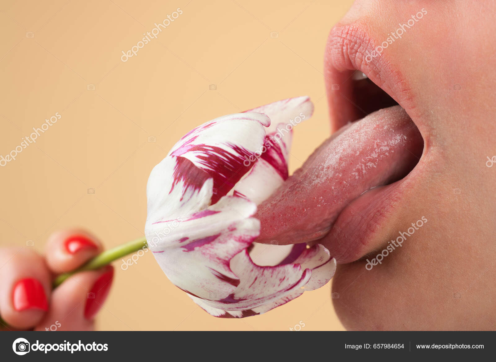 Foreplay Blowjob Sexy Girl Sucking Licking Flower Blowjob Fellation Concept  — Stock Photo © Tverdohlib.com #657984654