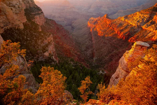 Grand Canyon Severním Okraji Při Západu Slunce Arizoně Panorama Kaňonové — Stock fotografie