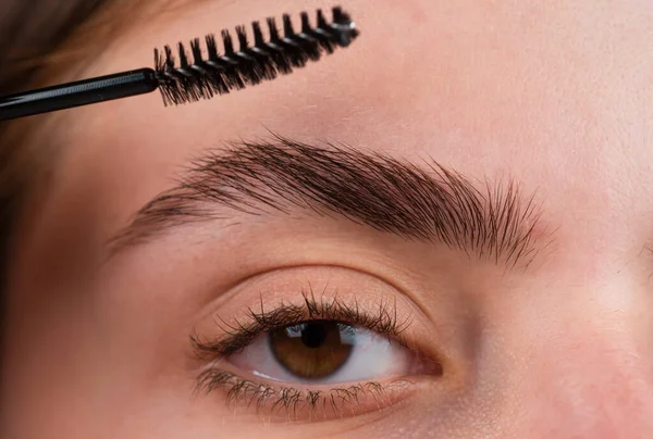 Womans Eyebrows Beautiful Girl Eyebrow Brush Girl Natural Make Eyebrow — Stock Photo, Image