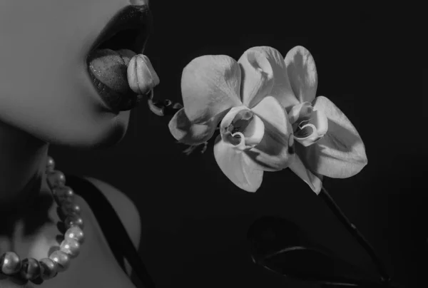 Ορχιδέα Και Γυναικεία Χείλη Σέξι Γυναικεία Γλώσσα Γλείφουν Λουλούδι Ορχιδέα — Φωτογραφία Αρχείου