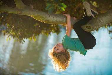 Bahçede oynayan mutlu çocuk ağaca tırmanıyor. Tepetaklak. Çocukluk kavramı