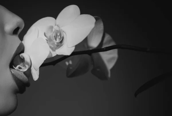 Orchidee Und Sexy Frauenlippen Orchideenblume Auf Sinnlichem Frauenmund — Stockfoto