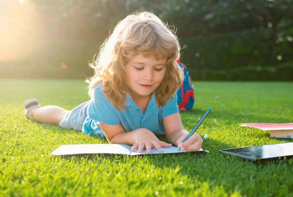 Defterine Kalem Yazıp Çimlere Uzanan Sevimli Çocuk Çocuk Yaz Parkında — Stok fotoğraf
