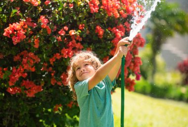 Çocuk bahçede bahçe hortumuyla oynuyor. Komik heyecanlı çocuk arka planda su püskürterek eğleniyor. Yaz çocukları açık hava aktivitesi