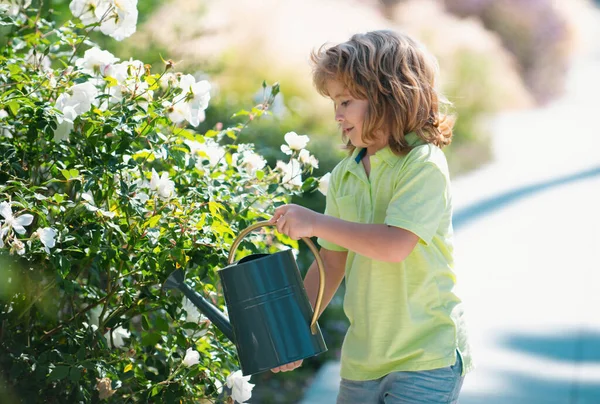 Child Watering Plant Watering Can — Stock Photo, Image