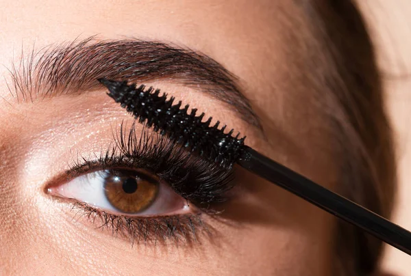 Woman Brow Beauty Procedures Macro Close Brows Care Brows Eyebrows — Stock Photo, Image