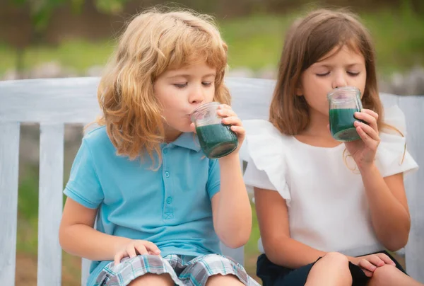 Mutlu erkek ve kız kardeşler smoothie içer çocuklar yaz parkında kokteyl içer açık havada. Küçük erkek ve kız çocuklar yazın tadını çıkarıyorlar. Çocuklar arka bahçede yürüyor. En iyi arkadaşlar iki çocuk.