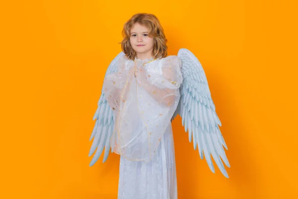 Valentines Day Little Cupid Angel Child Wings Studio Portrait Angelic — Fotografia de Stock