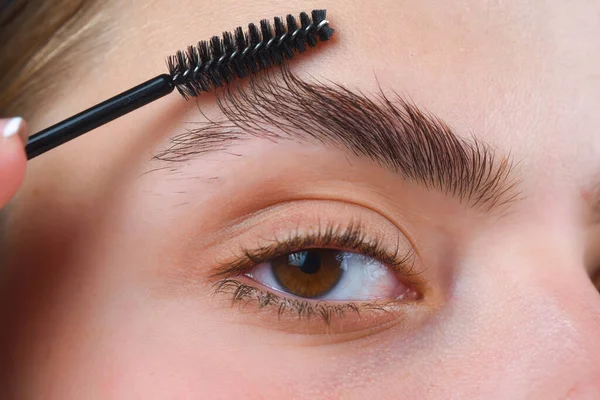 Perfect eyebrow. Close up of woman getting eyebrow make-up. Macro applying cosmetics on her eyebrow with brush. Perfect shape of eyebrow, brown eyeshadows and long eyelashes. Shape eyebrows