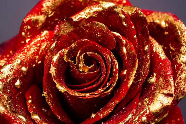 Rosa Com Pétalas Pintadas Ouro Fechar Rosas Douradas Fundo Preto — Fotografia de Stock