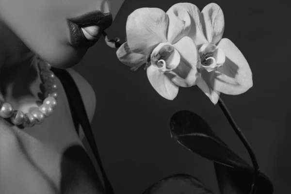 Sexy Vrouwenlippen Orchidee Vrouwenlippen Orchidee Bloem Sensuele Vrouw Mond Luxe — Stockfoto