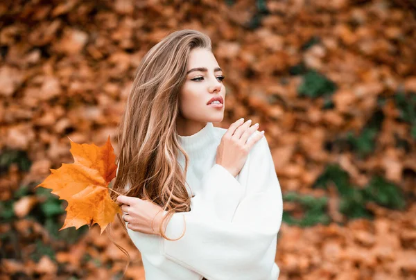 Portrét Smyslné Ženy Podzim Listy — Stock fotografie