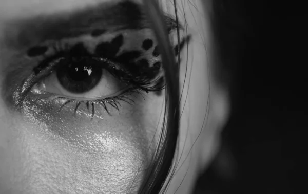 Djur Tryck Modetrend Kvinnlig Makeup Ansikte Öga Nära Håll Konst — Stockfoto
