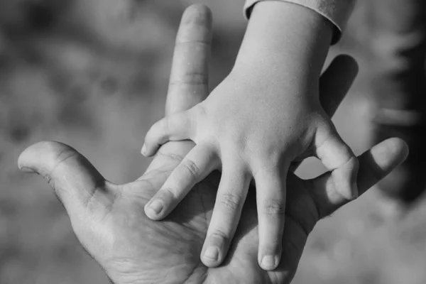 Familienhände Vaterschaftskonzept Kind Und Vaterbeziehungen Adoptivkind Adoptivkind — Stockfoto