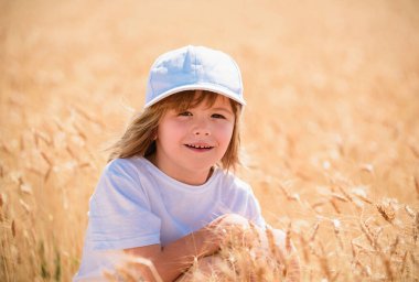 Buğday tarlasında bir çocuk. Çocuk yaz günü çiftlikte buğday kulağı gösteriyor.
