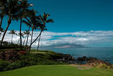 Hawaii plajı. Güneşli gökyüzü olan tropik plajdan deniz manzarası. Hawaii adasının yaz cenneti plajı. Tropikal sahil. Bulutlu egzotik yaz plajı. Okyanus sakin ve rahat
