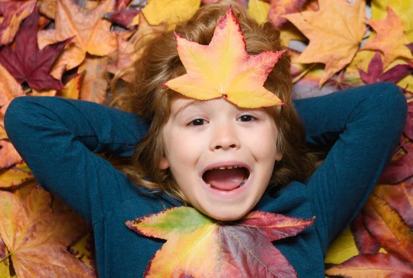Happy Child Playing Autumn Park Nature Walk Outdoors —  Fotos de Stock