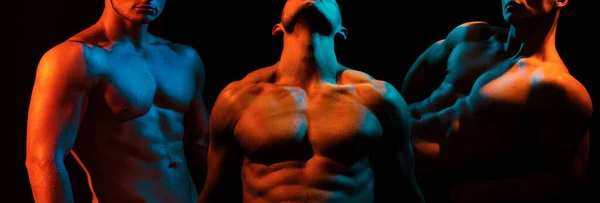 Conjunto Músculos Corpo Ombro Dos Homens Musculares Sexy Gays Com — Fotografia de Stock