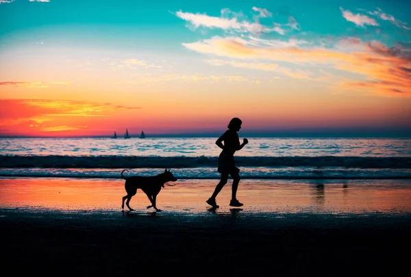 日の出の日没の気分でビーチの背景で犬と一緒に歩く女性 夏休みのコピースペースと旅行のコンセプト — ストック写真