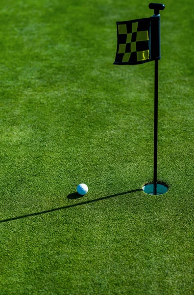 高尔夫球洞 草底杯唇上的高尔夫球 — 图库照片