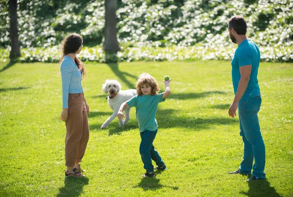 Porträt Einer Glücklich Lächelnden Familie Mit Hund Beim Entspannen Park — Stockfoto