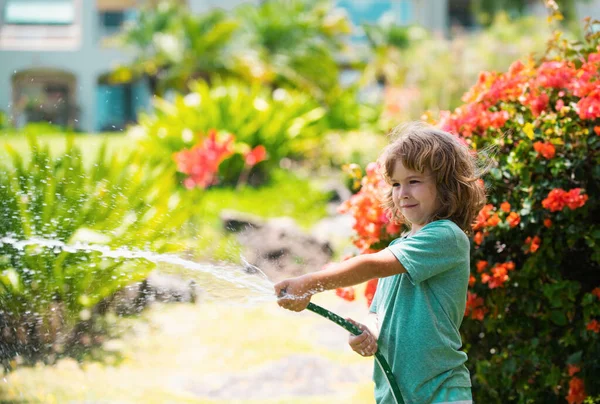 Милий Маленький Хлопчик Поливає Квіти Саду Літній День Дитина Використовує — стокове фото
