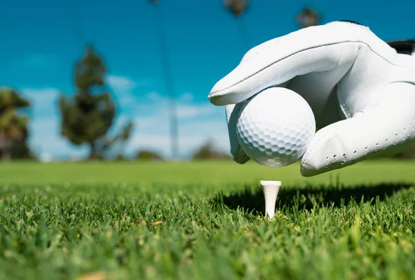 Hand Setzt Golfball Auf Abschlag Golfplatz Golfball Gras Golfball Auf — Stockfoto