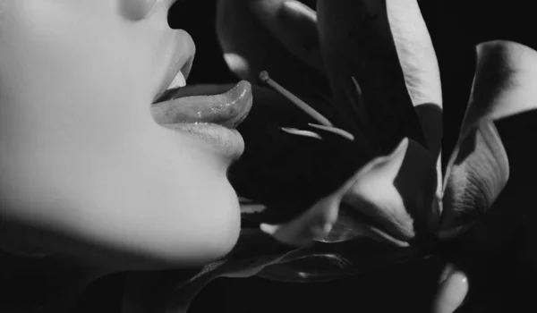 Σέξι Γυναίκα Γλείφει Λουλούδι Γυναικεία Χείλη Κρίνο Ημέρας Ανατολίτικα Υβρίδια — Φωτογραφία Αρχείου