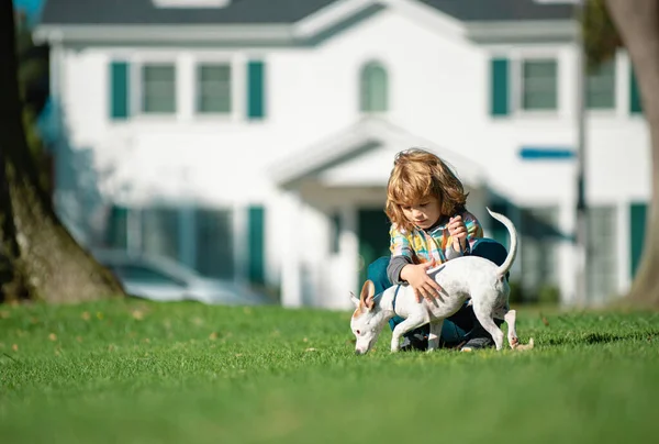 Çocuk Köpek Yavrusu Dışarıda Mutlu Çocuk Köpek Arka Bahçede Hayvan — Stok fotoğraf