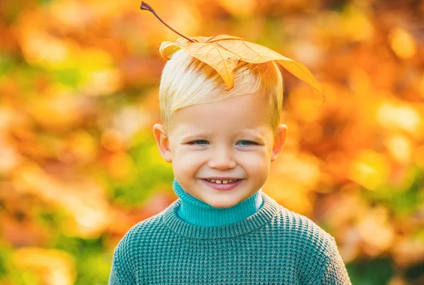 Χαμογελαστό Ξανθό Παιδί Κρατά Φύλλα Του Φθινοπώρου Στη Φύση Φθινοπωρινό — Φωτογραφία Αρχείου