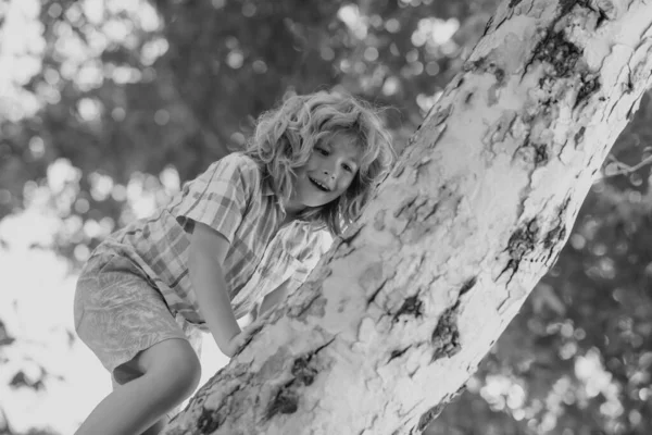 木の上の子供 保険の子供たち 子供のための健康保険の概念 医療保護 夏の公園の屋外で木からぶら下がって登る子供 — ストック写真