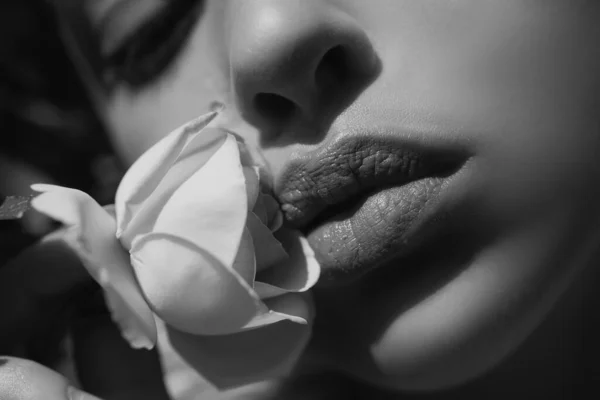 Schöne Frauenlippen Mit Frühlingsrose Schöne Lippen Close Make Lippenstift Matt — Stockfoto
