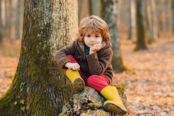 stock image Cute kid sitting on fallen leaves. Autumn dream. Kid dreams on autumn nature. Childhood dream concept. Daydreamer child. Dreams and imagination. Dreamy kids face