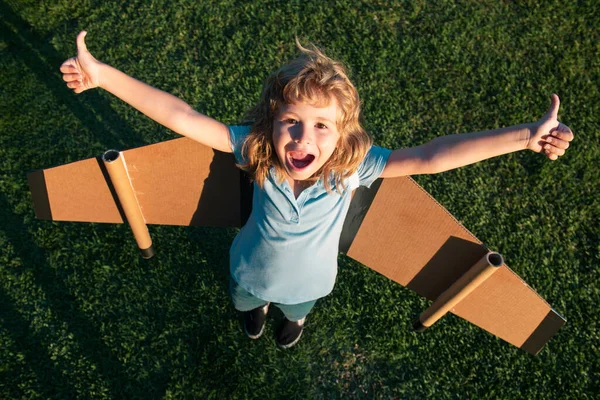Excited Dreamer Boy Playing Cardboard Airplane Kid Dreams Future Kid — Stock Photo, Image