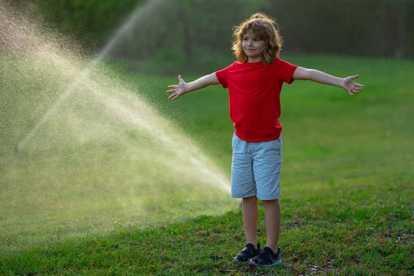 Kid play in garden near irrigation watering sprinkler system. Watering grass with automatic sprinkler. Lawn and gardening concept. Child backyard gardening. Child watering plants, watering sprinkler