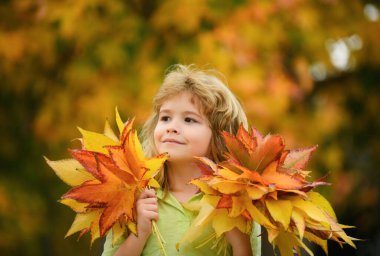 Autumn kids mood. Child with fall leaves over maple leaf background