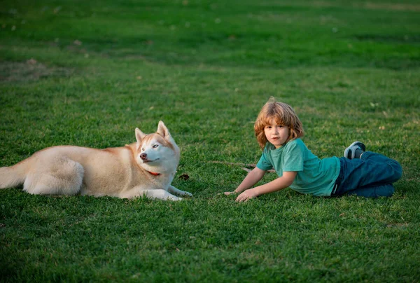 Молодий Хлопчик Собака Лежать Траві Разом Веселі Ігри Хаскі Собакою — стокове фото