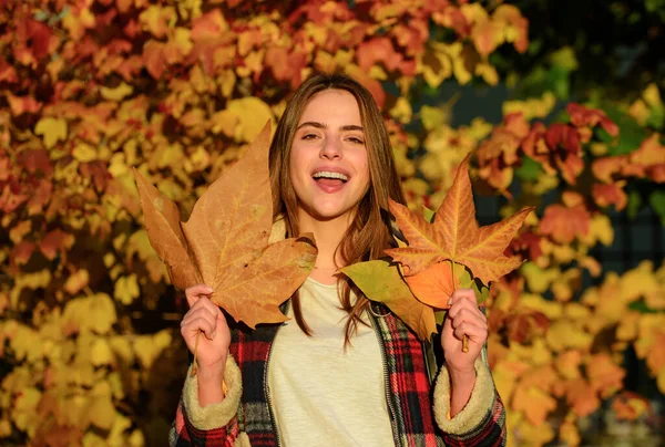 가을에 모델은 속에서 걷습니다 가을을 웃기는 꿈꾸는 소녀의 — 스톡 사진