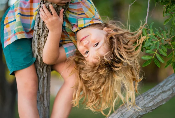 Παιδί Αγόρι Σκαρφαλώνει Ψηλά Στο Καλοκαιρινό Πάρκο Πορτρέτο Του Χαριτωμένου — Φωτογραφία Αρχείου