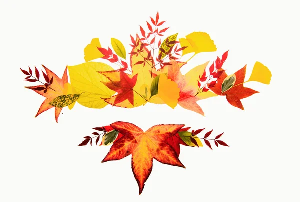 Autumn Frames Borders Fall Leaf Banner Frame Sale Thanksgiving Background — Stock Photo, Image