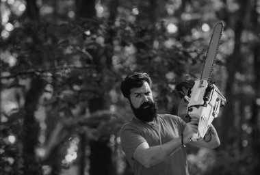 Adam işini yapıyor. Ağaç kesiyorum. Oduncu konsepti. Oduncu oduncu. Yasadışı kütükleme bugün de devam ediyor. Tahta testereyi tutan oduncu. Bıçkıhanede testere ile kereste kesen