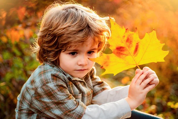 快乐的孩子在秋天的公园做梦 可爱的男孩 外面有枫叶 托德勒穿着秋衣 秋天的孩子梦想 秋天留给孩子的概念 — 图库照片