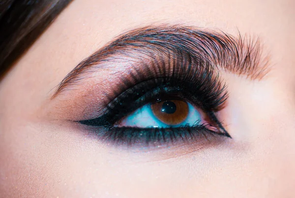 Eyes Make Close Makeup Closeup Eyebrow Long Eyelashes Beauty Salon — Stock Photo, Image