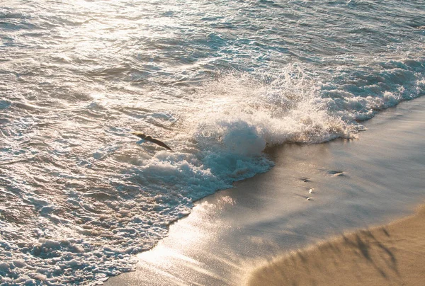Mořský Povrch Letní Vlny Pozadí Krásná Letní Pláž Moře Nebo — Stock fotografie