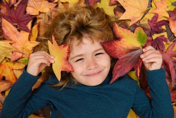 Happy fall, funny autumn. Happiness and joyful child in autumn park