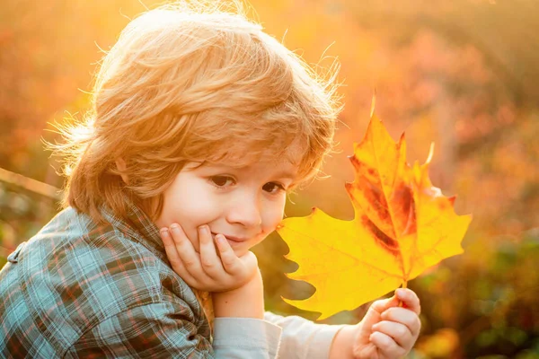孩子们做梦秋天的梦孩子们梦想着秋天的自然 童年梦想的概念 做白日梦的孩子梦想和想象 梦幻般的孩子面对 — 图库照片