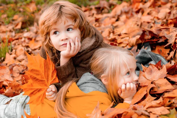 Little Boy Girl Dreaming Autumn Park Colorful Foliage Maple Leaves — Stock Photo, Image