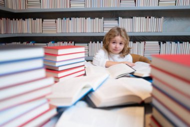 Okula dönelim. Bir sürü kitabı olan okul çocuğu. Çocuklar okul kütüphanesinde kitap hikayesinin keyfini çıkarıyorlar. Çocukların hayal gücü, edebiyata olan ilgisi. Akıllı çocuklar. Çocuk eğitimi, sınıfta kitap okumak.